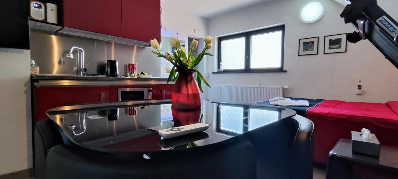 Logeerkamer Xxl 25 M2 Zemst Exterior foto